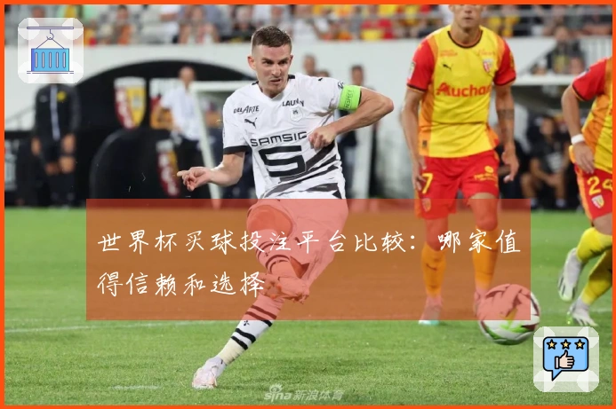 世界杯买球投注平台比较：哪家值得信赖和选择