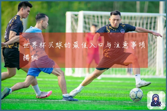 世界杯买球的最佳入口与注意事项揭秘