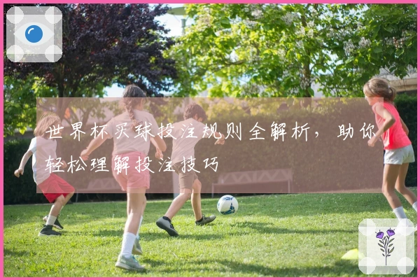 世界杯买球投注规则全解析，助你轻松理解投注技巧