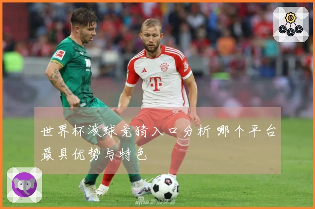 世界杯滚球竞猜入口分析 哪个平台最具优势与特色
