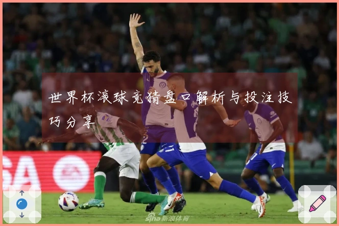 世界杯滚球竞猜盘口解析与投注技巧分享