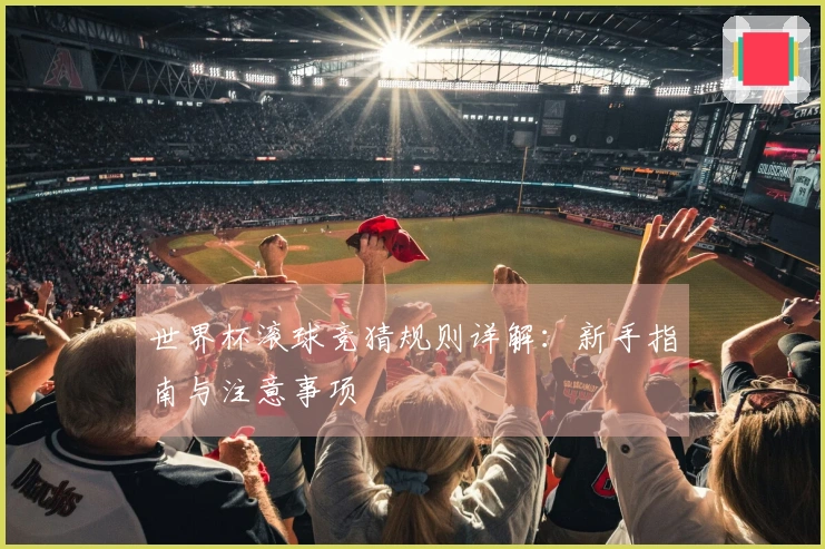 世界杯滚球竞猜规则详解：新手指南与注意事项