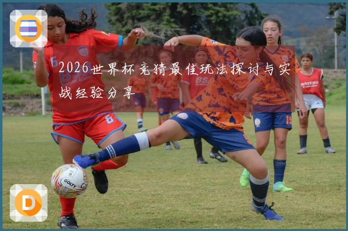 2026世界杯竞猜最佳玩法探讨与实战经验分享