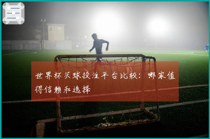 世界杯买球投注平台比较：哪家值得信赖和选择