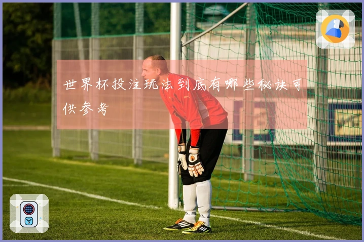 世界杯投注玩法到底有哪些秘诀可供参考