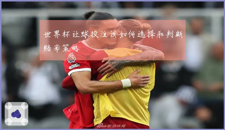 世界杯让球投注该如何选择和判断赔率策略