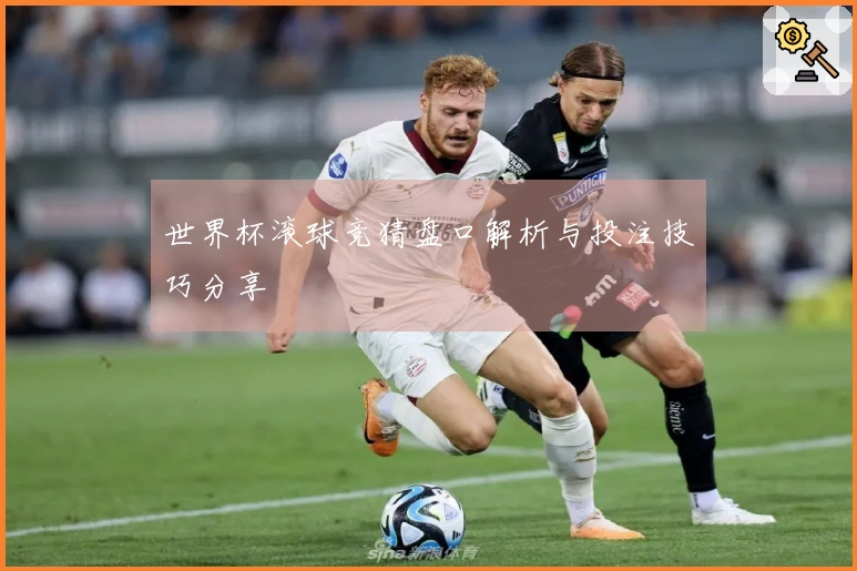 世界杯滚球竞猜盘口解析与投注技巧分享