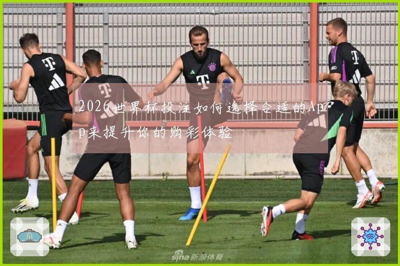 2026世界杯投注如何选择合适的App来提升你的购彩体验