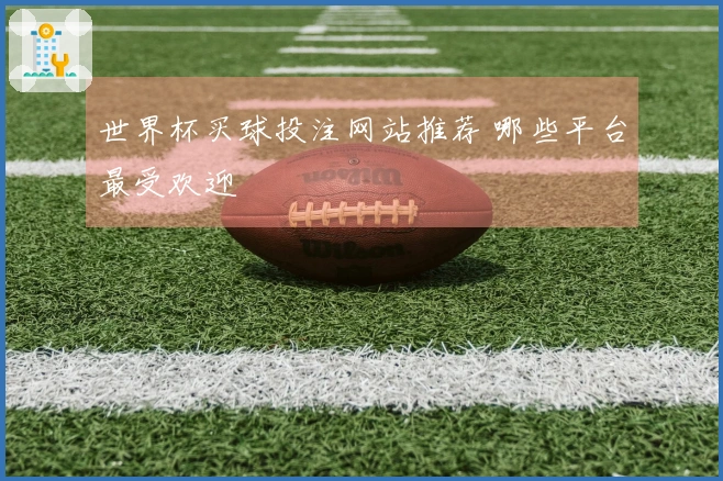 世界杯买球投注网站推荐 哪些平台最受欢迎