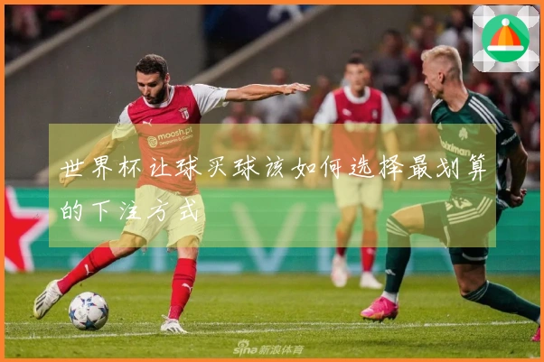 世界杯让球买球该如何选择最划算的下注方式