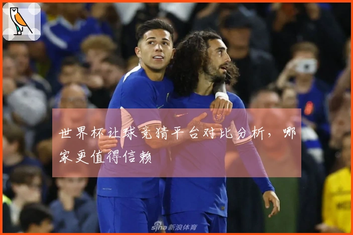 世界杯让球竞猜平台对比分析，哪家更值得信赖