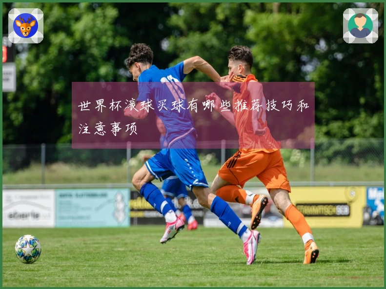 世界杯滚球买球有哪些推荐技巧和注意事项
