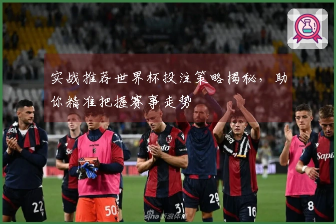 实战推荐世界杯投注策略揭秘，助你精准把握赛事走势