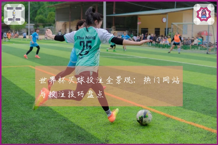 世界杯买球投注全景观：热门网站与投注技巧盘点