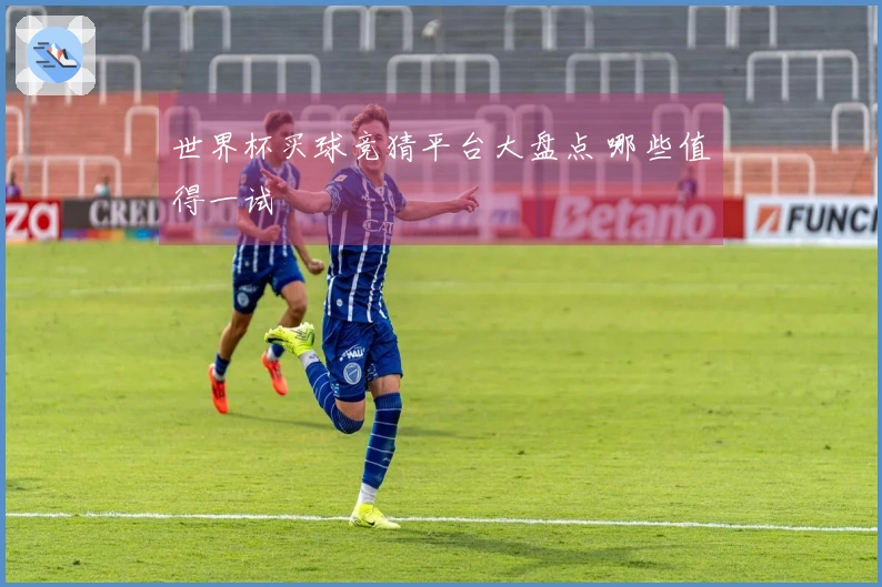 世界杯买球竞猜平台大盘点 哪些值得一试