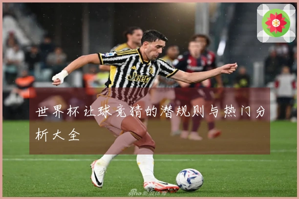 世界杯让球竞猜的潜规则与热门分析大全