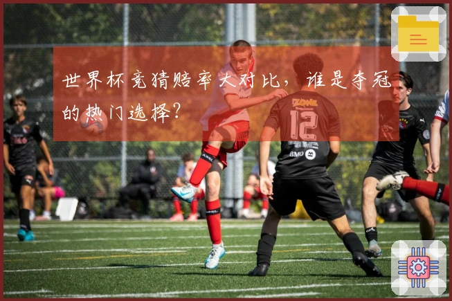世界杯竞猜赔率大对比，谁是夺冠的热门选择？