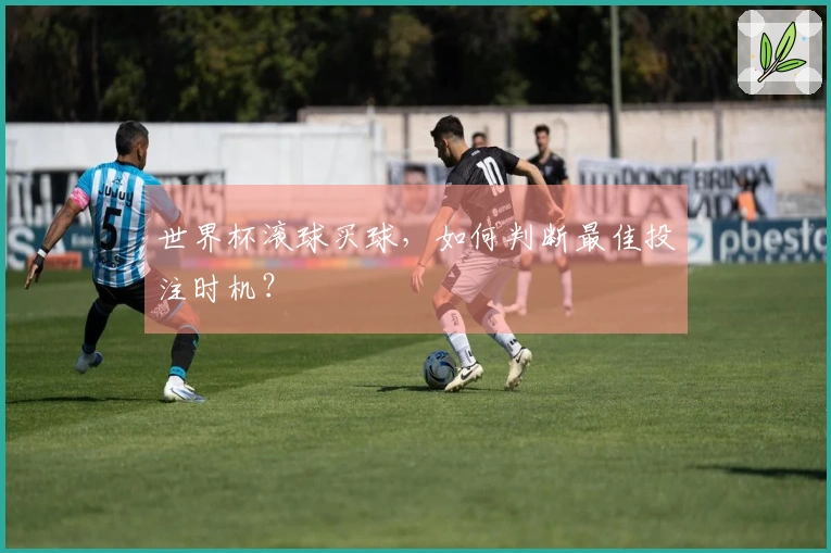 世界杯滚球买球，如何判断最佳投注时机？