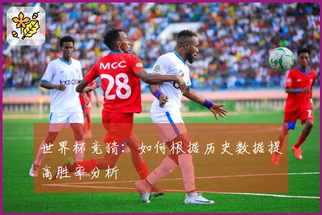 世界杯竞猜：如何根据历史数据提高胜率分析