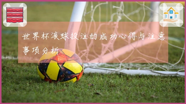世界杯滚球投注的成功心得与注意事项分析
