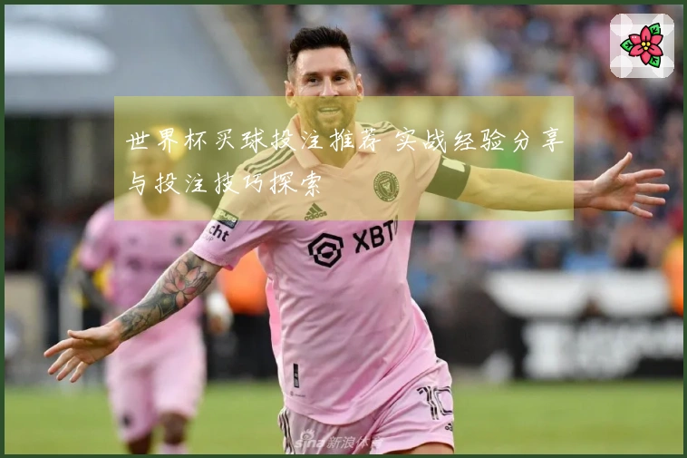 世界杯买球投注推荐 实战经验分享与投注技巧探索