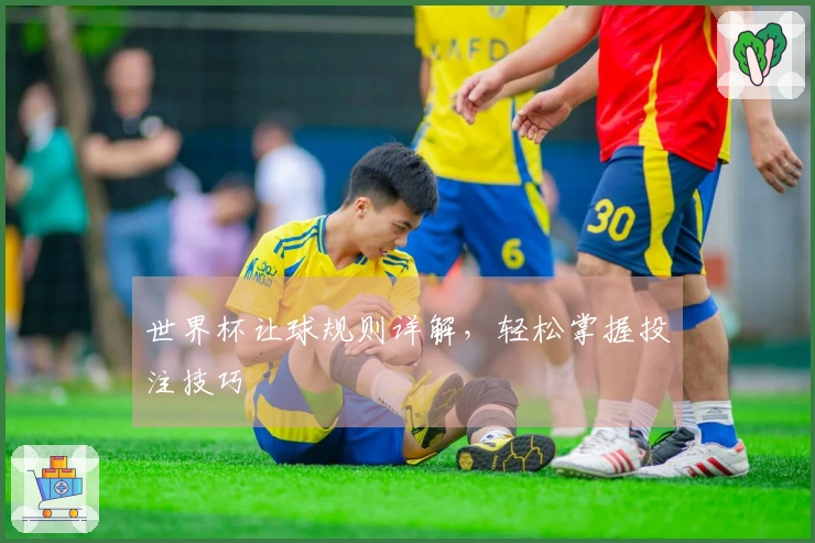 世界杯让球规则详解，轻松掌握投注技巧