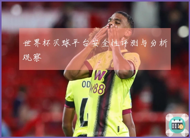世界杯买球平台安全性评测与分析观察