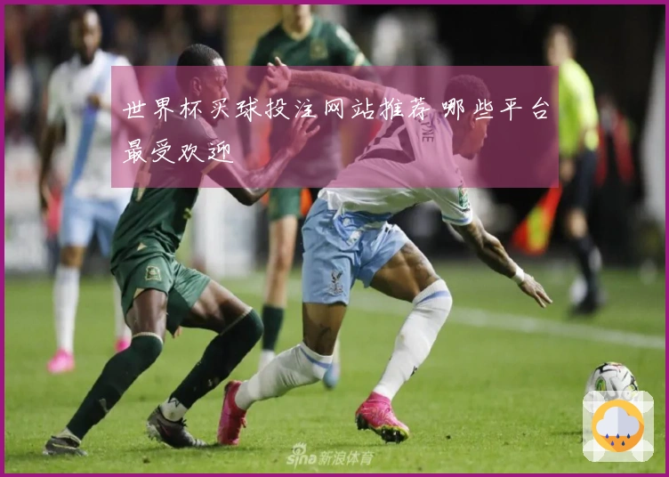 世界杯买球投注网站推荐 哪些平台最受欢迎
